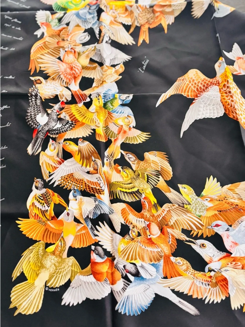 Hermès L'Intrus Silk Carré 90 Bird Scarf